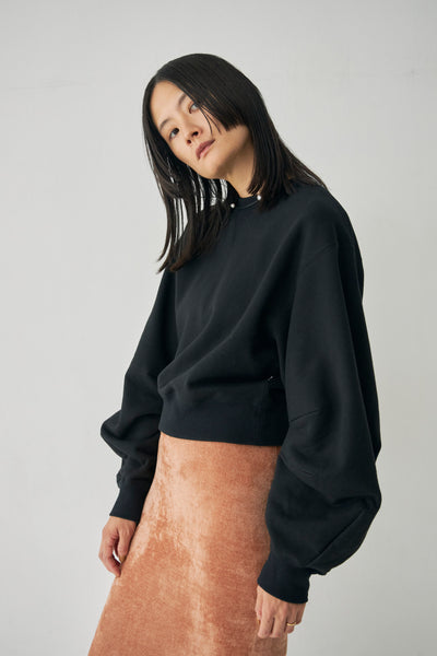 画像をギャラリービューアに読み込む, Curve Sleeve Sweat Pullover
